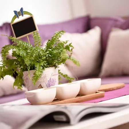 Sweet Little Nest In Heart Of Town Lejlighed *